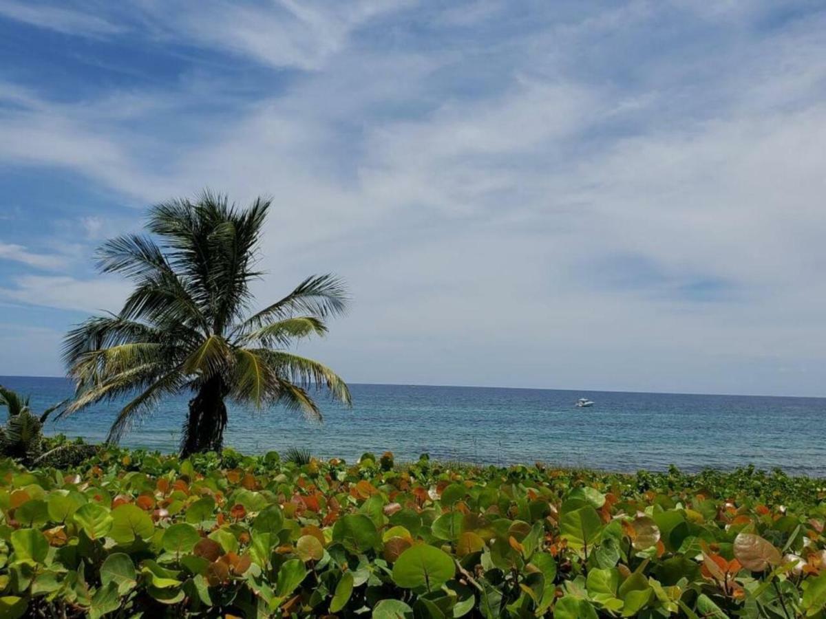 Beautiful Spacious And Luxury Delray Beach House! Near The Beach! Екстериор снимка